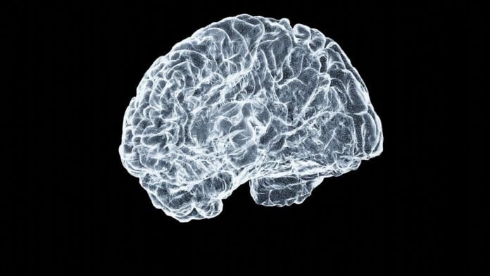 Rethinking How We Approach Cognitive Health